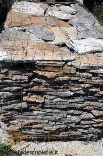 Scorza in Pietra Antica - immagine 3