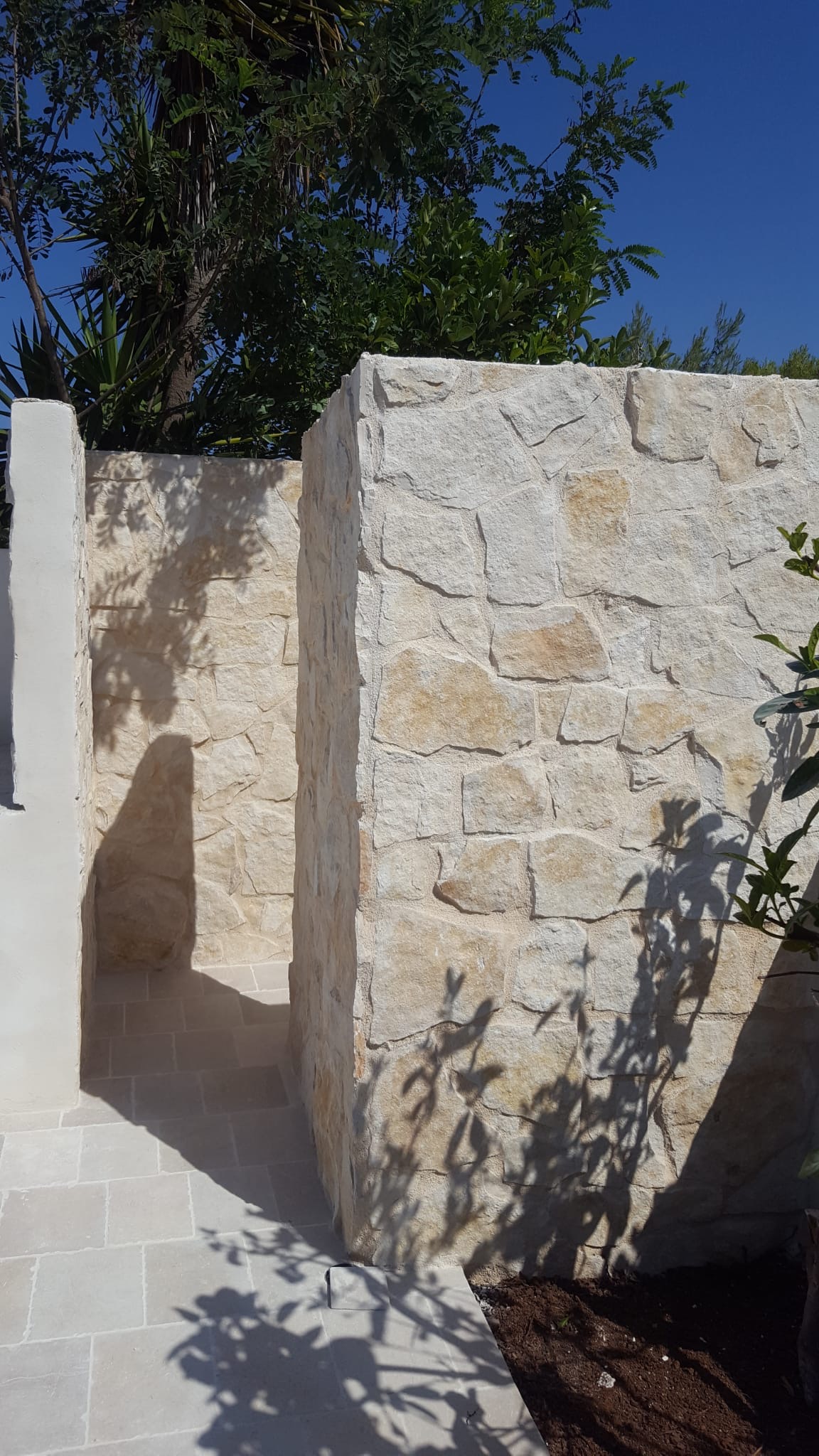 Scorza di Trani - immagine 2