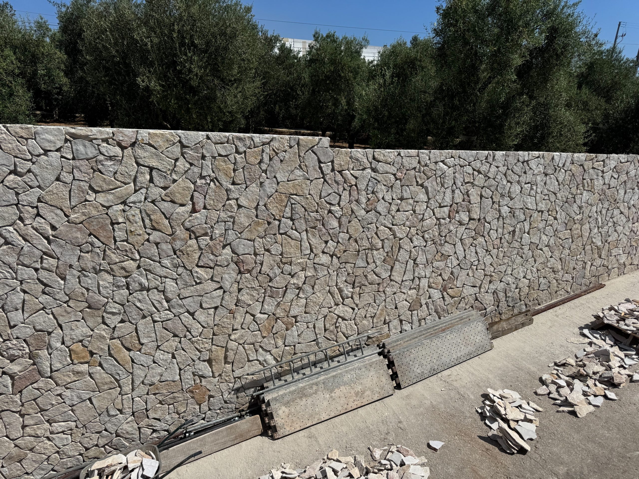 Scorza di Trani Anticata - immagine 2