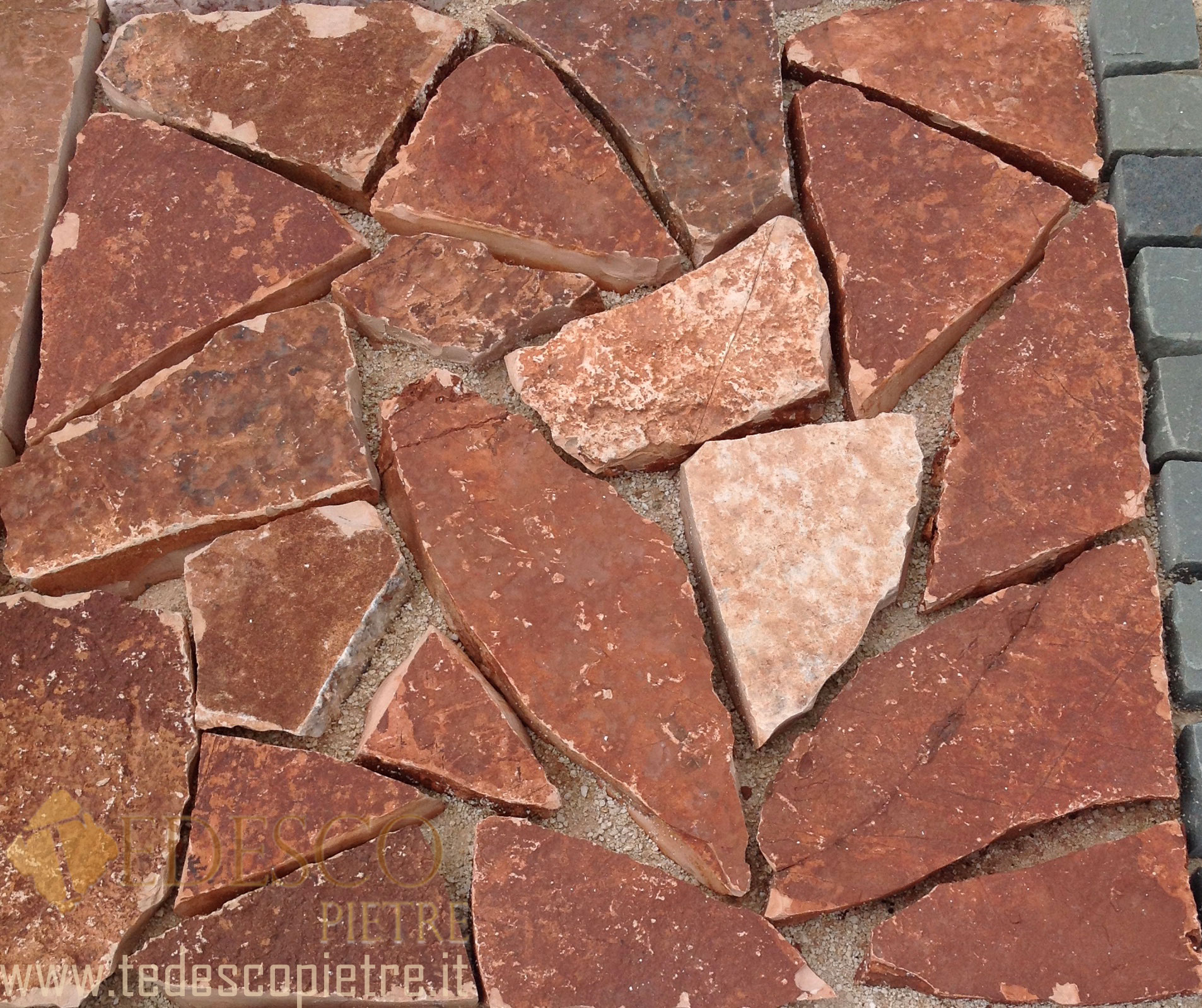 Scorza Albanese Rosa - immagine 2