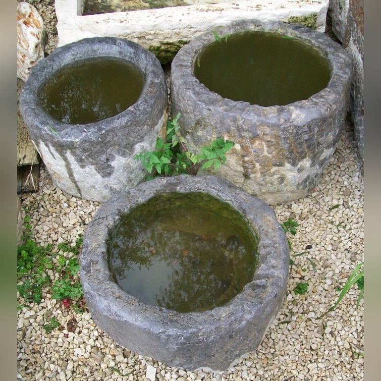 mortai-2304